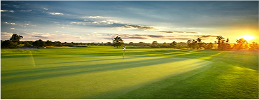 Sân golf gần tôi